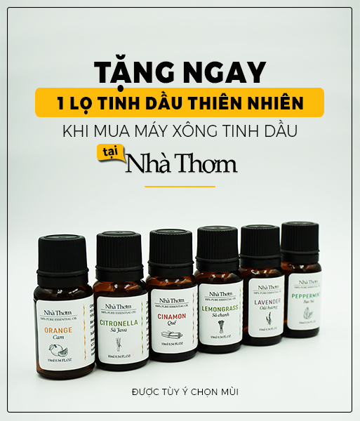 Tặng tinh dầu khi mua máy xông
